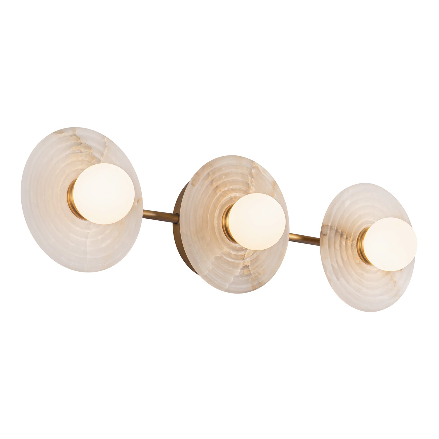 Dahlia 22-in Steel Vanity Light