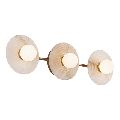 Dahlia 22-in Steel Vanity Light