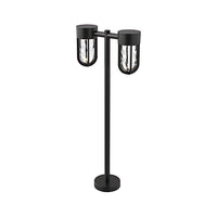 Davy 23-in 2-Head Black Low Voltage Outdoor Path Light