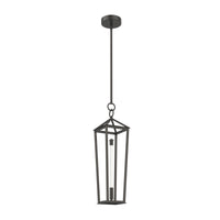 delphine-20-in-steel-pendant
