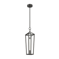 Delphine 20-in Steel Pendant
