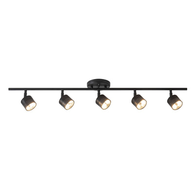 Denson 36-in Steel Track Light
