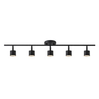 Denson 36-in Steel Track Light