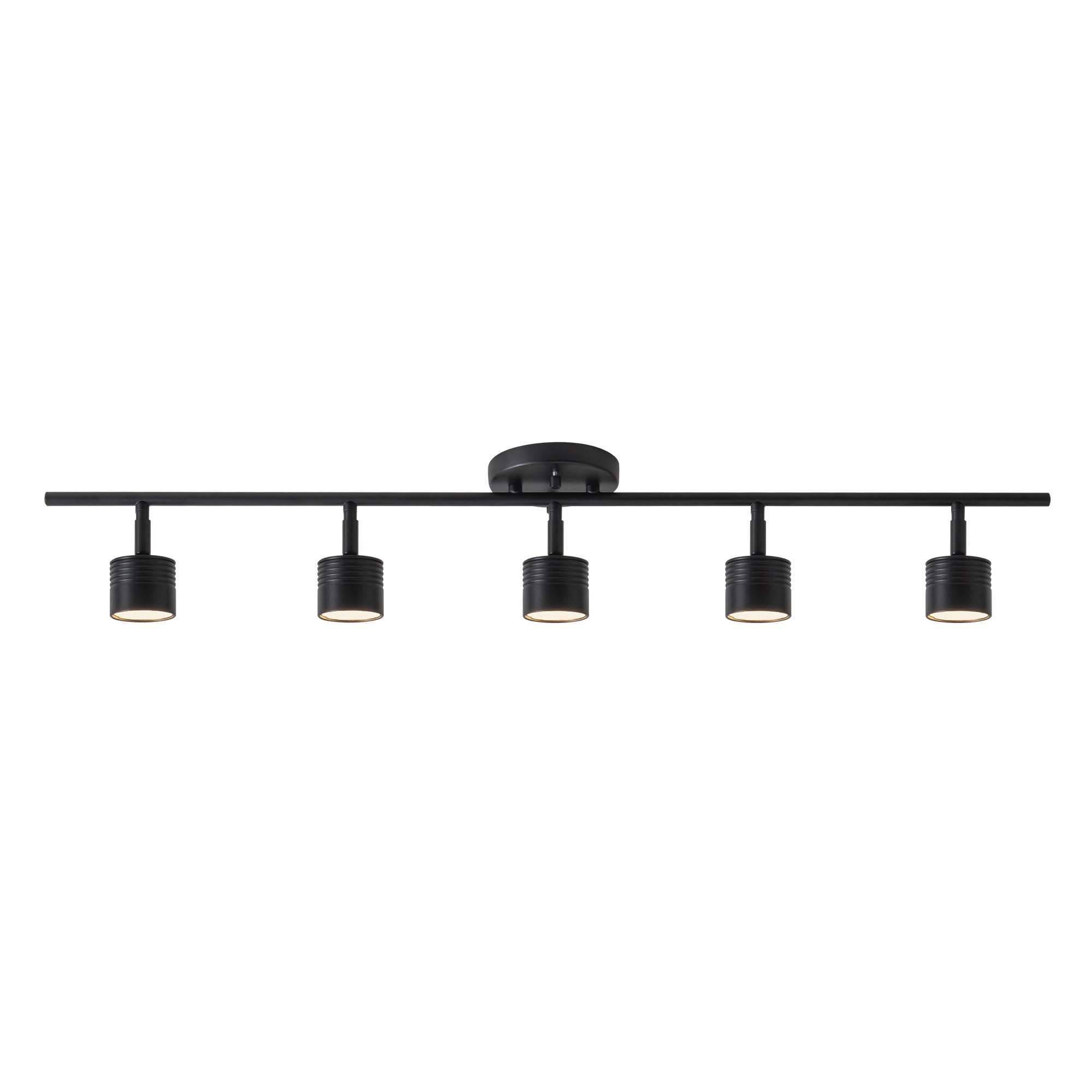 Denson 36-in Steel Track Light