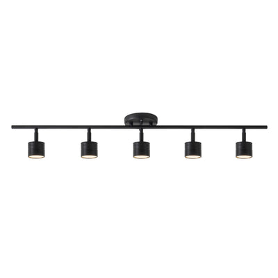 Denson 36-in Steel Track Light