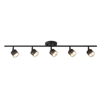 Denson 36-in Steel Track Light