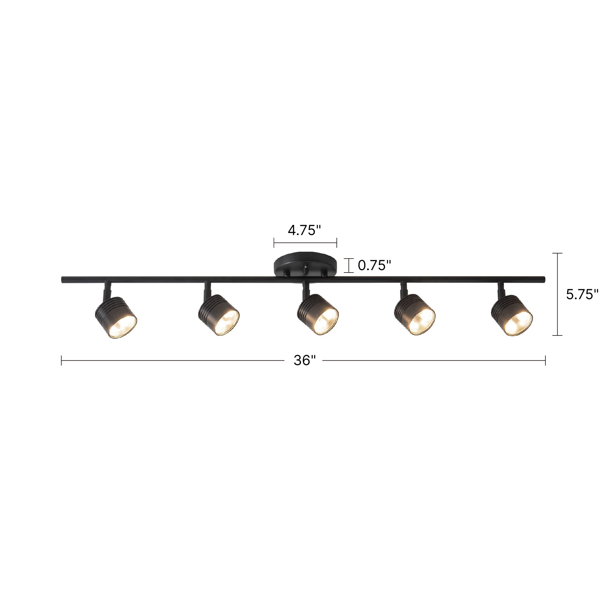 Denson 36-in Steel Track Light