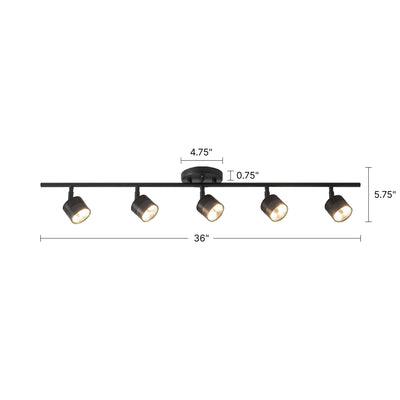 Denson 36-in Steel Track Light