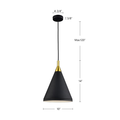 Dorothy 10-in Aluminum Pendant