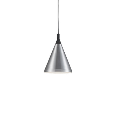 Dorothy 10-in Aluminum Pendant
