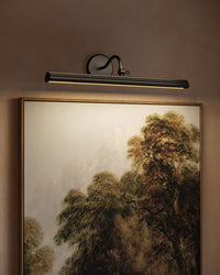 Dottie 24-in Aluminum Steel Acrylic Picture Light
