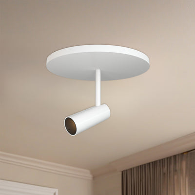 Downey 2-in Aluminum Semi-Flush Mount