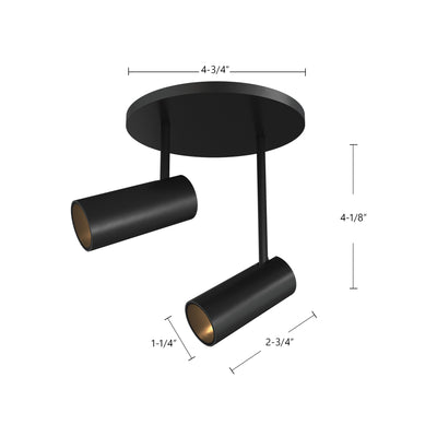 Downey 3-in Aluminum 2 Head LED Semi-Flush Mount