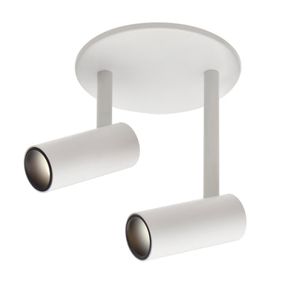 Downey 3-in Aluminum 2 Head LED Semi-Flush Mount