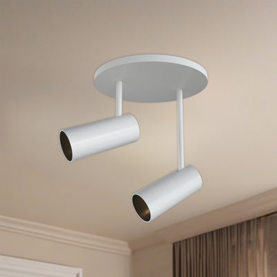 Downey 3-in Aluminum 2 Head LED Semi-Flush Mount