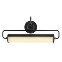 Ellen 21-in Aluminum Steel Acrylic Picture Light