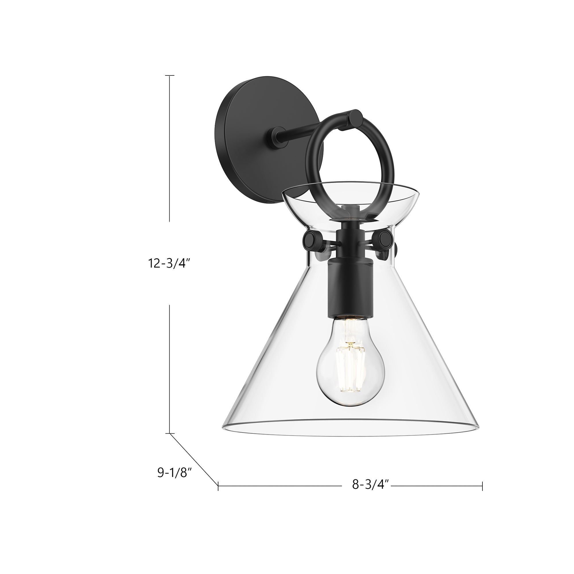 Emerson 9-in Steel Vanity Light