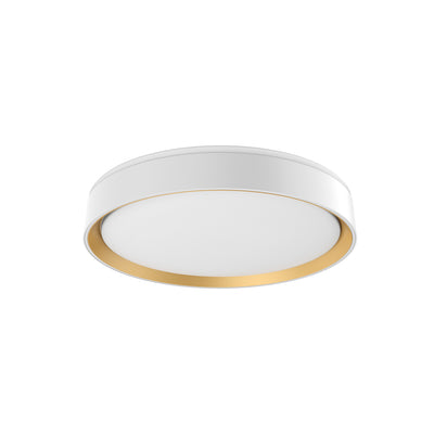 Essex 16-in Steel Flush Mount