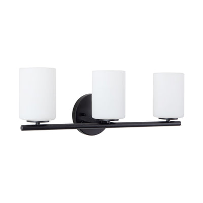 Ezra 22-in Steel Vanity Light