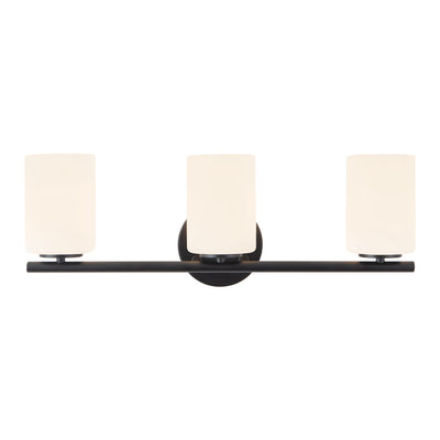 Ezra 22-in Steel Vanity Light