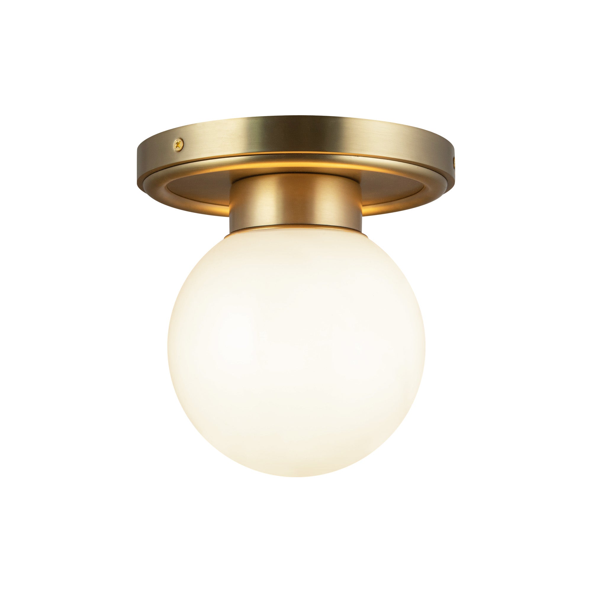 Fiore 6-in Steel Semi-Flush Mount