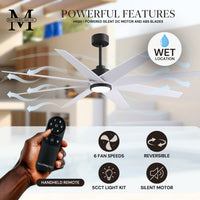 64-inch Ariella 8-Blade Ceiling Fan with LED Light