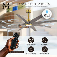 64-inch Ariella 8-Blade Ceiling Fan with LED Light