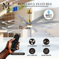 64-inch Ariella 8-Blade Ceiling Fan with LED Light