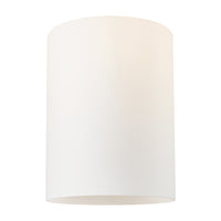 Cobbleskill 9-Inch Drum Replacement Glass Shade