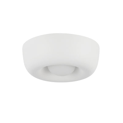 Hayden 6-in Aluminum Flush Mount