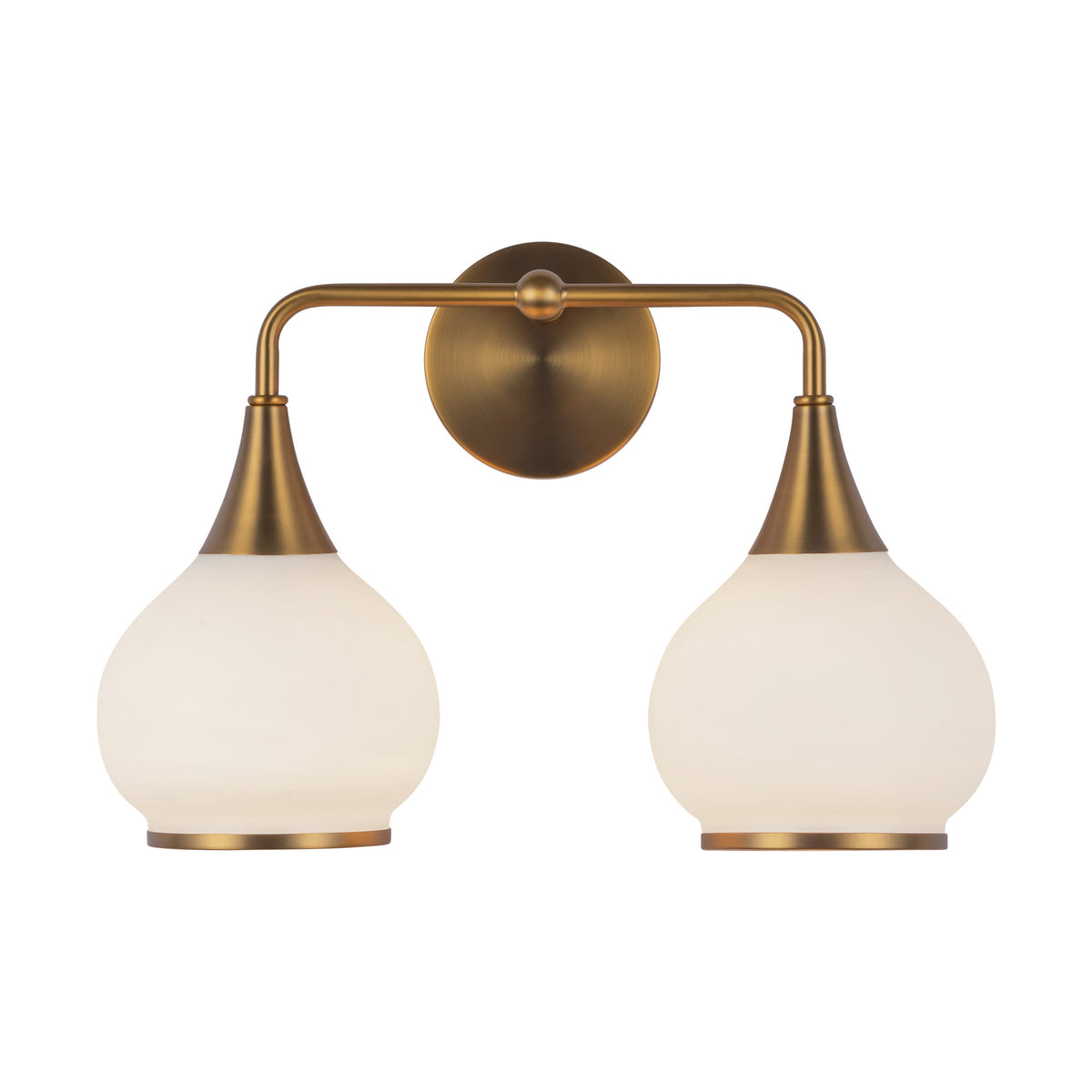 Hazel 17-in Steel Vanity Light