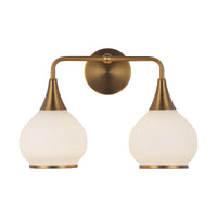 Hazel 17-in Steel Vanity Light