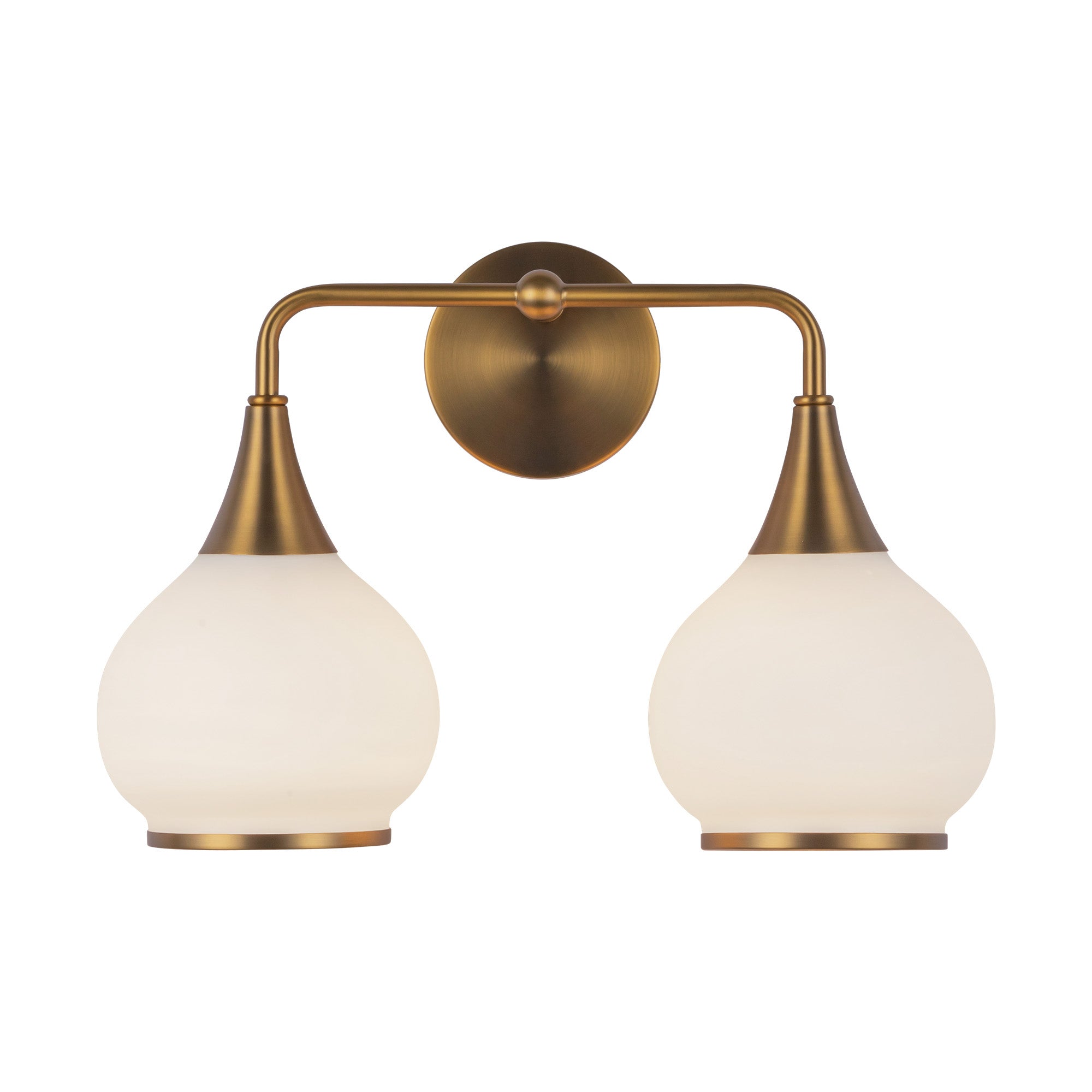 Hazel 17-in Steel Vanity Light