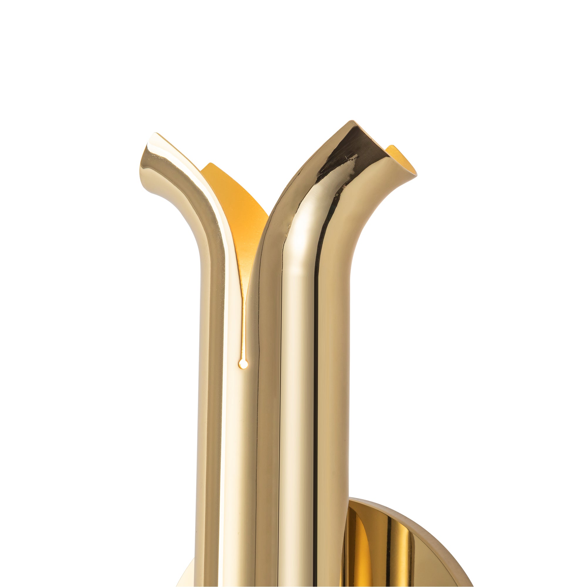 Husk 14-in Stainless Steel Wall Sconce