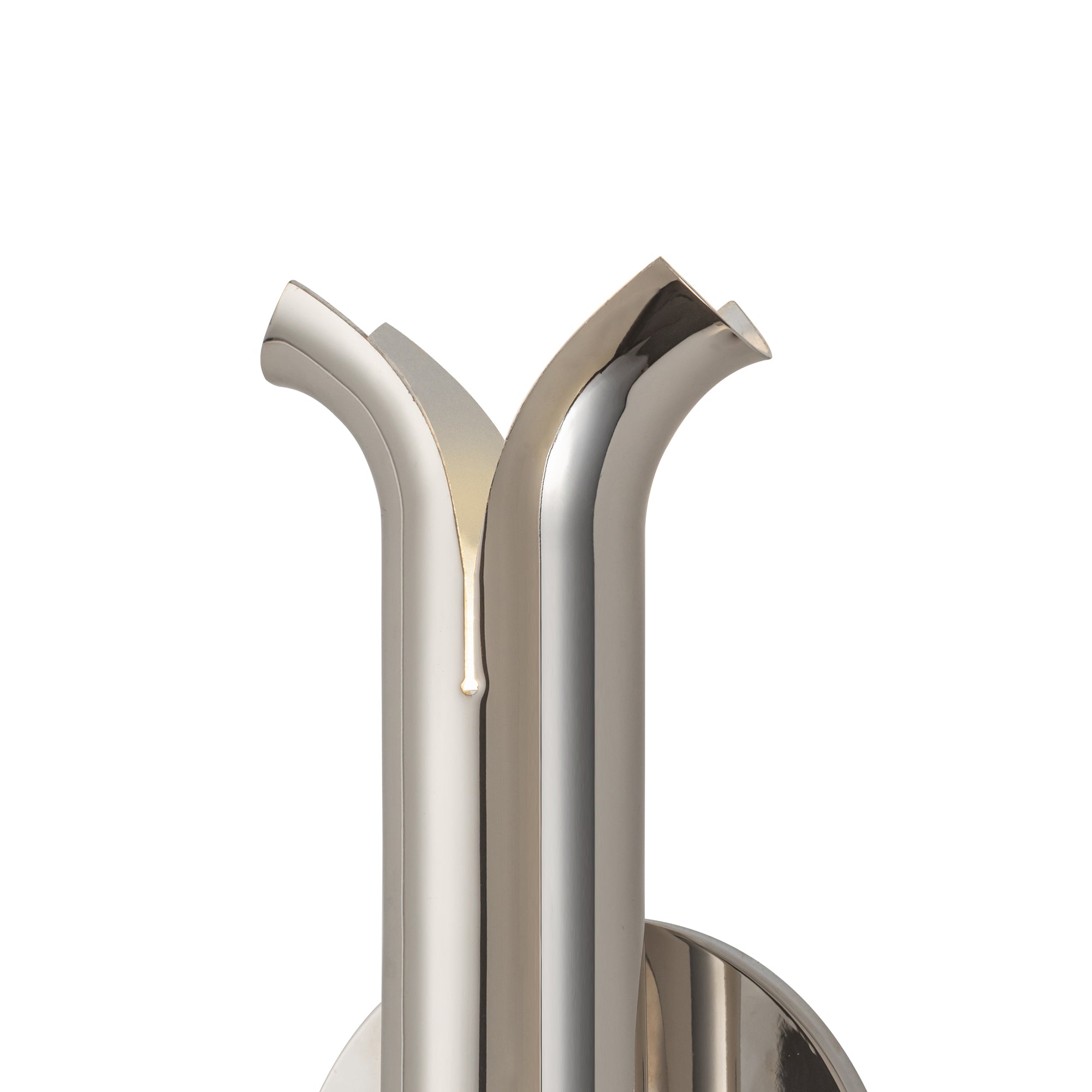 Husk 14-in Stainless Steel Wall Sconce