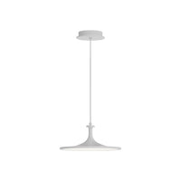 Issa 12-in Aluminum Pendant