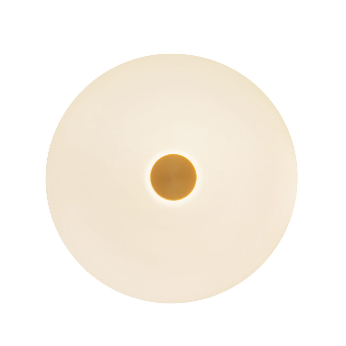 Jada 5-in Steel Wall Sconce
