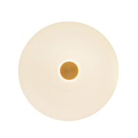 Jada 5-in Steel Wall Sconce