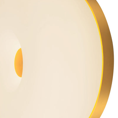 Jada 5-in Steel Wall Sconce