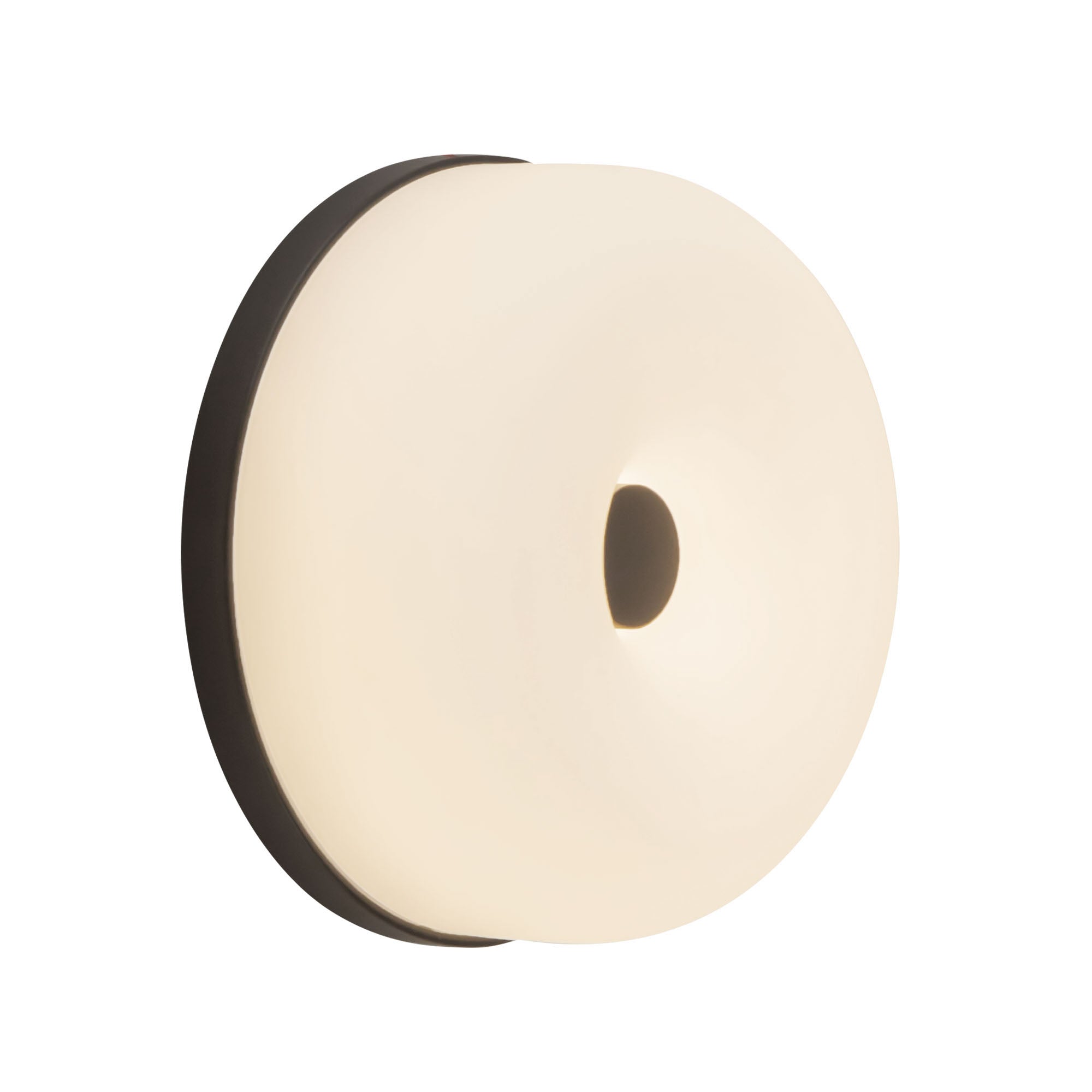 Jada 5-in Steel Wall Sconce