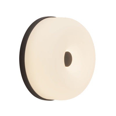 Jada 5-in Steel Wall Sconce