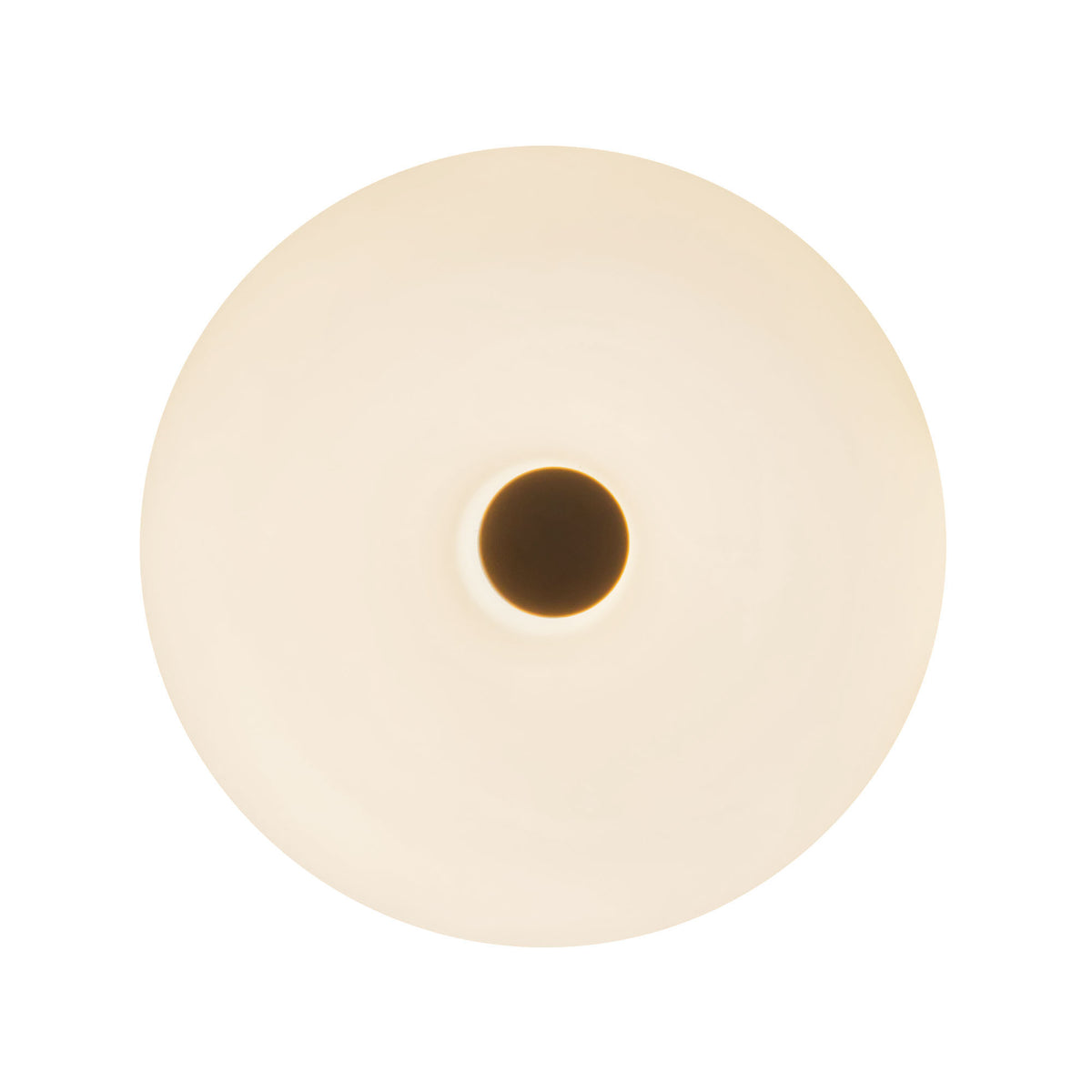 Jada 5-in Steel Wall Sconce