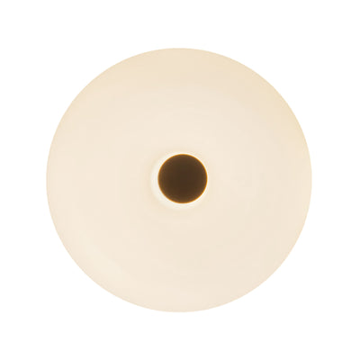 Jada 5-in Steel Wall Sconce