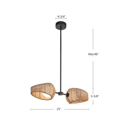 Lanai 2 Head Steel Pendant