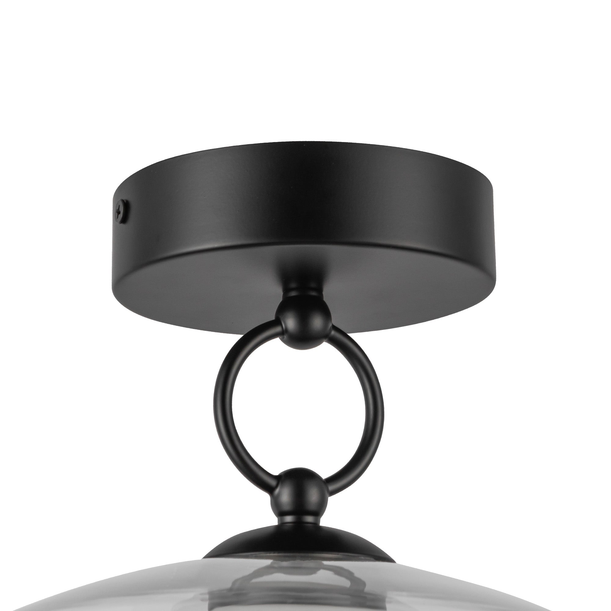 Leota 8-in Steel Semi-Flush Mount