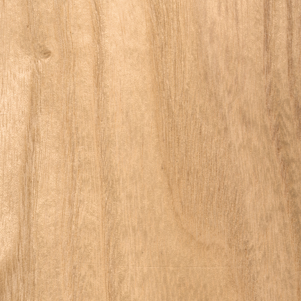 Alessandra Tropical 5-Blade Ceiling Fan with LED Light