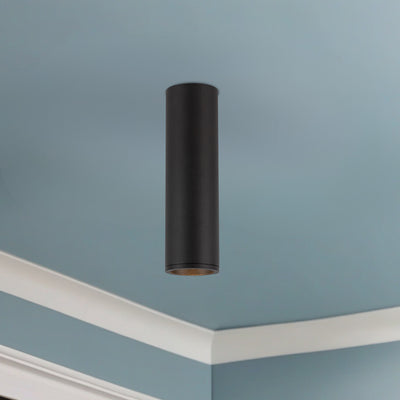 Lorna 10-in (2-in Dia.) Aluminum Flush Mount