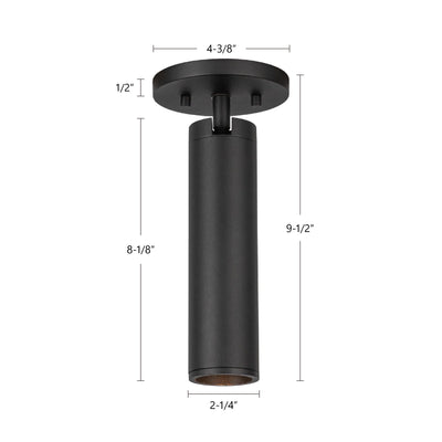 Lorna 9-in Aluminum Adjustable LED Ceiling Mount