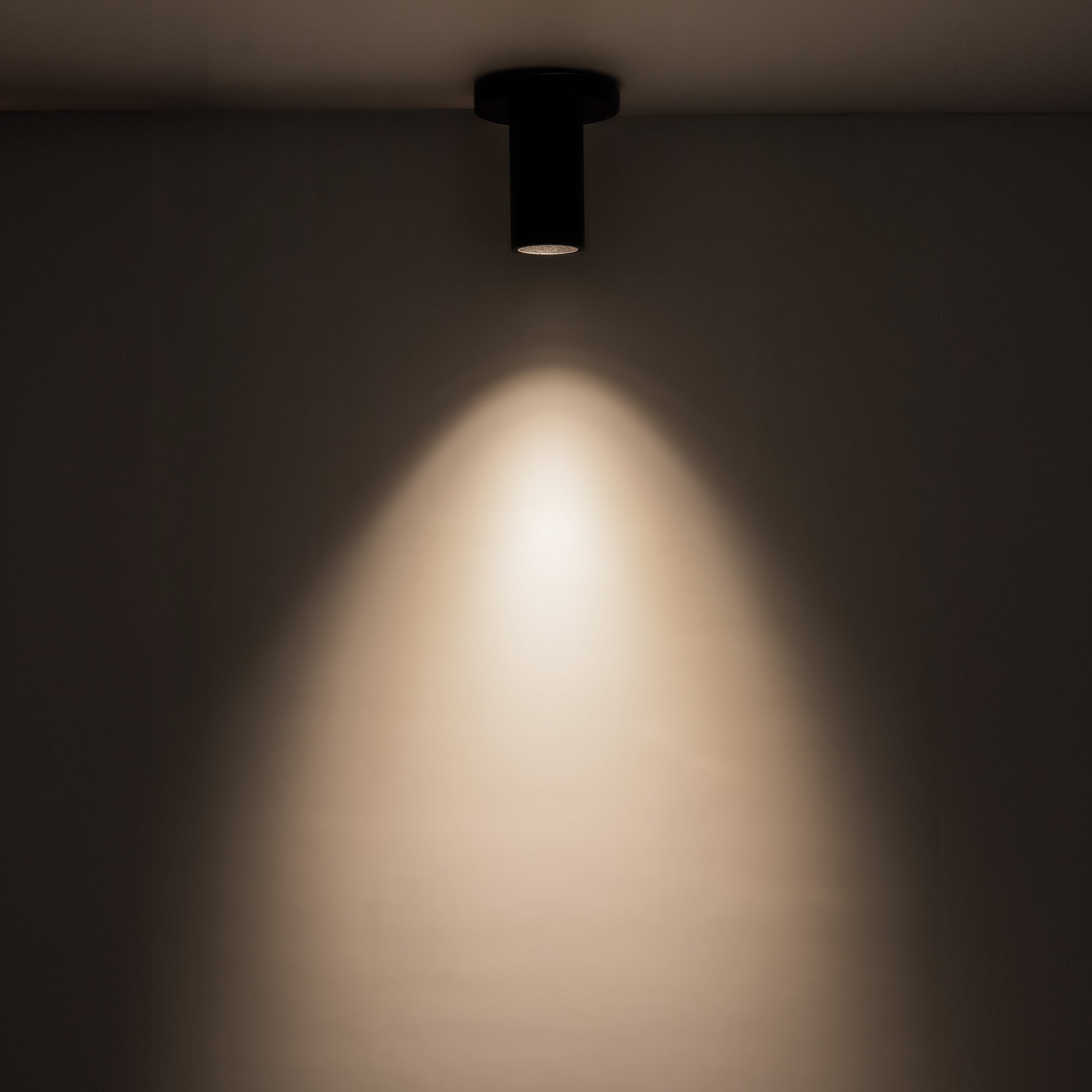 Lorna 4-in (2-in Dia.) Aluminum Flush Mount