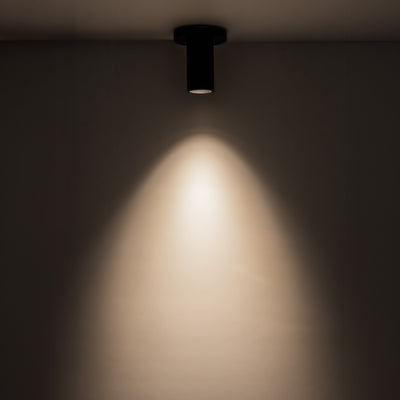 Lorna 4-in (2-in Dia.) Aluminum Flush Mount